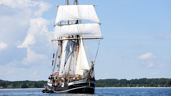 Das Segelschiff "Thor Heyerdahl" auf der Kieler Förde. © dpa-Bildfunk Foto: Maurizio Gambarini