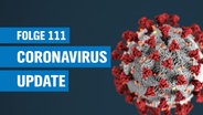 Das Coronavirus © Unsplash Foto: CDC