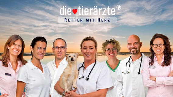 Gruppenfoto der Tierärzte: Dr. Ilka Jopp, Dr. Yasmin Diepenbruck, Dr. Tobias Neuberger, Stephanie Petersen, Julia Liebmann, Dr. Gerd Britsch, Dr. Marion Link (v.l.n.r.). © NDR/Andrea Späth/Natascha Hoffmann/Sonja Rommerskirch/Martin Jehnichen/Christian Koch 