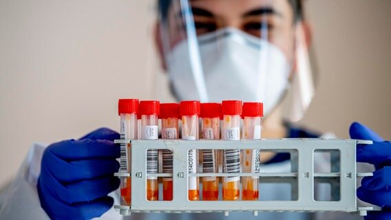 Ein Labormitarbeiter mit Proben für einen PCR-Test. © picture alliance / Robin Utrecht Foto: Robin Utrecht