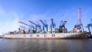 Das Containerschiff "Cosco Pride" der Reederei Cosco Shipping liegt am Container-Terminal Tollerort im Hamburger Hafen. © picture alliance / dpa Foto: Jonas Walzberg