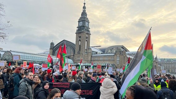 Menschen bei einer Pro-Palästina-Demo in der Nähe des Hamburger Hauptbahnhofs. © NDR Foto: Kai Salander