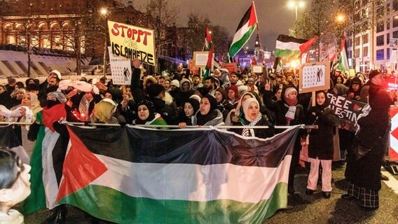 Menschen bei einer Pro-Palästina-Demo in Hamburg © Markus Scholz/dpa 