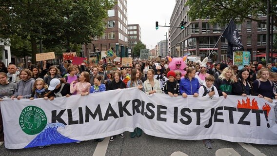 Teilnehmer des globalen Klimastreiks von "Fridays for Future" (FFF) demonstrieren in der Hamburger Innenstadt. © picture alliance / dpa Foto: Marcus Brandt