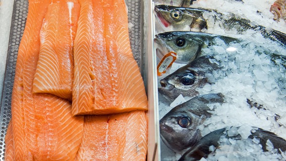 Fisch in der gekühlten Auslage eines Supermarkts. © picture alliance/dpa Foto: Daniel Bockwoldt