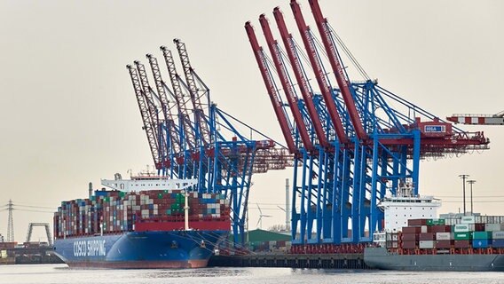 Ein Schiff liegt am Container-Terminal Tollerort. © picture alliance/dpa Foto: Georg Wendt