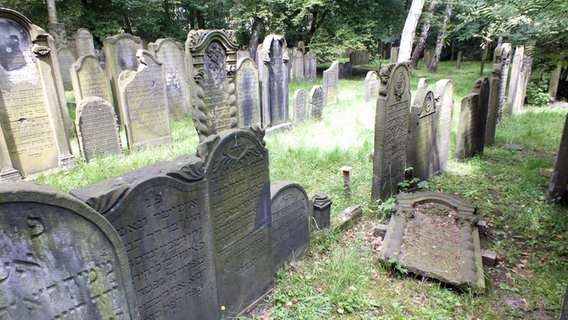 Eine Grabsteinreihe auf dem Jüdischen Friedhof Altona © NDR.de Foto: Marc-Oliver Rehrmann