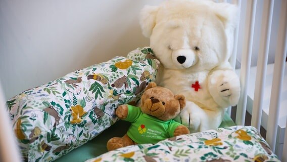 Zwei Teddybären liegen in einem Kinderbett. © picture alliance 