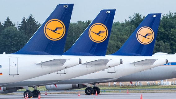 Flugzeuge der Lufthansa stehen auf dem Gelände des Hamburger Flughafens. © picture alliance/dpa Foto: Daniel Bockwoldt