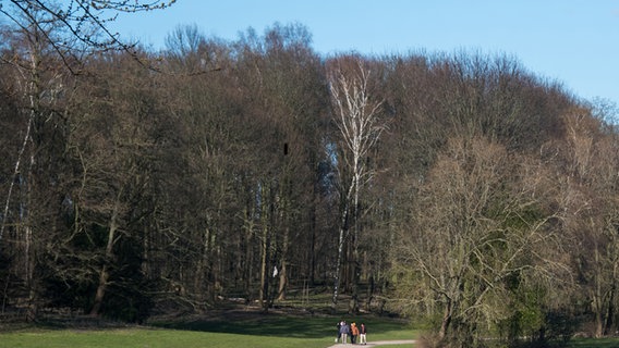 Besucher sind bei Sonnenschein im Öjendorfer Park unterwegs. © picture alliance/dpa | Daniel Bockwoldt Foto: Daniel Bockwoldt