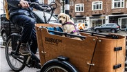 Ein Lastenfahrrad der Marke Babboe, in dem ein Hund sitzt © picture alliance / ANP | Foto: Eva Plevier