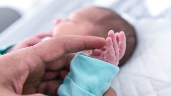 Eine Erwachsenen-Hand berührt ein Säuglings-Händchen © picture alliance/dpa/Sina Schuldt Foto: Sina Schuldt