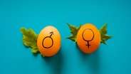 Zwei Eier mit den Symbolen für Mann und Frau liegen nebeneinander. © Dainis Graveris via unsplash Foto: Dainis Graveris via unsplash