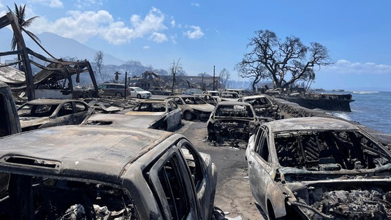 Ausgebrannte Autos stehen nach einem Waldbrand in der zerstörten Stadt Lahaina, Hawaii. © AP/dpa Foto: Tiffany Kidder Winn