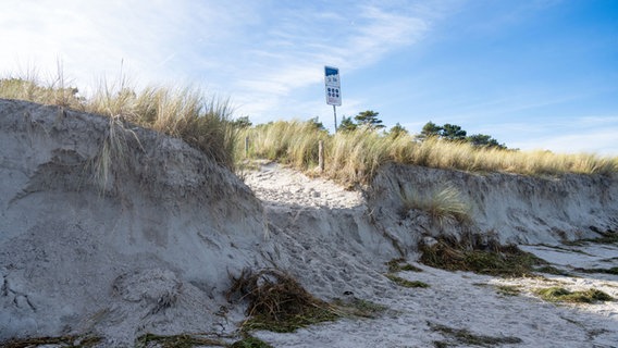 Wellen der Sturmflut haben am Strand zwischen Prerow und Zingst den Sand an der Düne abgetragen. © Stefan Sauer/dpa 
