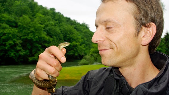 Herpetologe (Reptilienforscher) Sebastian Lotzkat hält eine kleine Schlange auf Augenhöhe. © Gina Moog Foto: Gina Moog