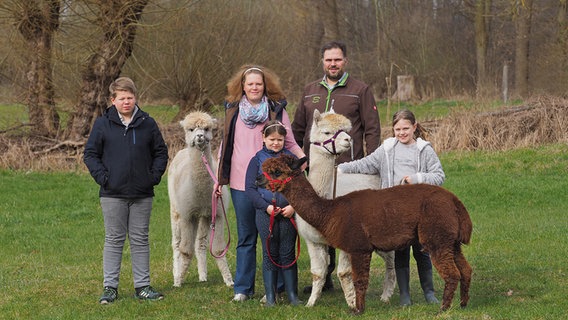 Landwirtin Stefanie Dreyer mit Familie und Alpakas auf einer Wiese © NDR Foto: Burkhardt Wysekal