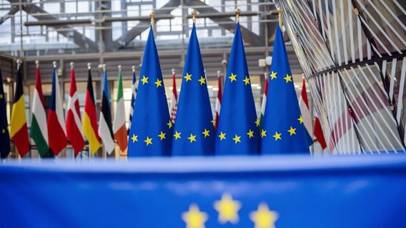 Brüssel: Flaggen der EU Mitgliedsstaaten © picture alliance / photothek Foto: Thomas Trutschel