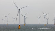 Ein Offshore-Windpark im Meer © picture alliance / empics | Gareth Fuller Foto: Gareth Fuller