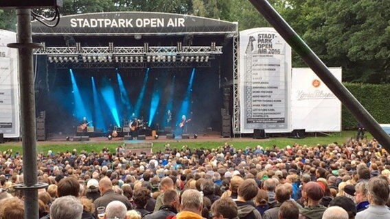 Die Band "Element of Crime" spielt bei einem Open Air Konzert im Hamburger Stadtpark auf der Bühne, davor steht Publikum.  Foto: Elise Landscheck