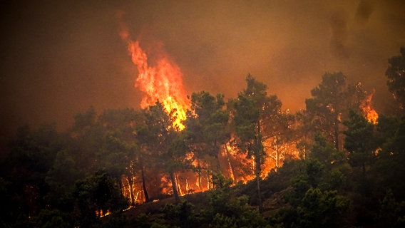 Flammen sind bei einem großen Waldbrand auf der griechischen Insel Rhodos zu sehen. © picture alliance/dpa/Eurokinissi/AP | Argyris Mantikos 