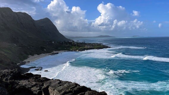 Brandung an der Küste von Makapuu Beach © ARD Foto: Christine Schacht