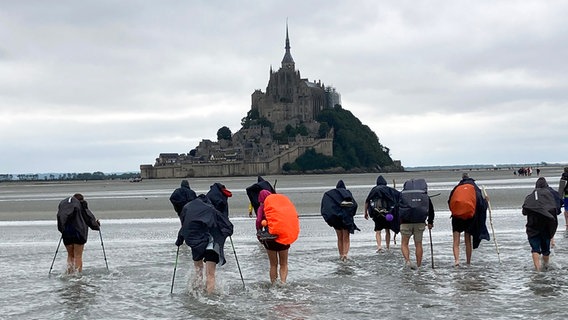 Ein Pilgergruppe watet durch das Watt Richtung Mont Saint Michel. © ARD Foto: Stefanie Markert