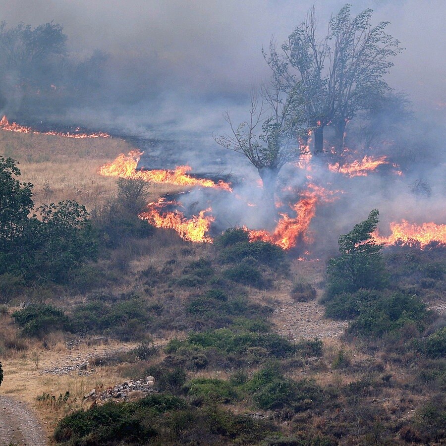 Brennender Wald in Spanien. © picture alliance / Europa Press Foto: Fabián Simón