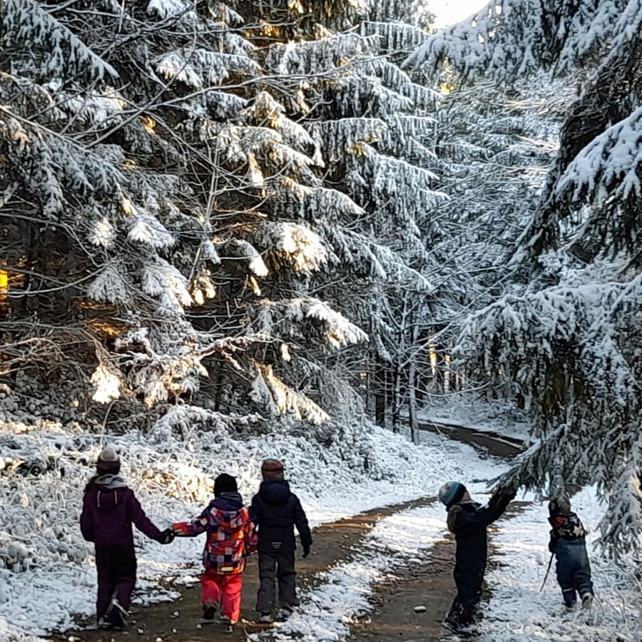 Fünf Kinder aus der Waldkita laufen durch den verschneiten Wald © NDR Info Foto: Alexa Hennings