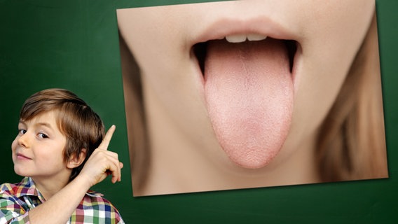 Ein Junge mit gehobenem Zeigefinger steht vor einer Tafel, an der ein Foto haftet: Ein Mädchen steckt die Zunge raus. © Fotolia.com Foto: Junge vor Tafel: photophonie, Foto: TwoBrainsStudios