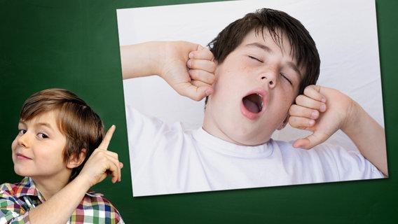 Ein Junge mit gehobenem Zeigefinger steht vor einer Tafel, an der ein Foto haftet: Ein Junge gähnt herzhaft. © Fotolia.com Foto: Junge vor Tafel: photophonie, Foto: Uncleraf