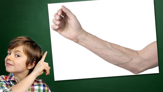 Ein Junge mit gehobenem Zeigefinger steht vor einer Tafel, an der ein Foto haftet: blaues Blut © Fotolia.com Foto: Junge vor Tafel: photophonie, Foto: taborsky