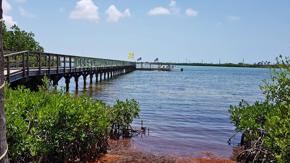 Eine Brücke in den Florida Keys im Süden der USA © NDR Foto: Sabine Loeprick