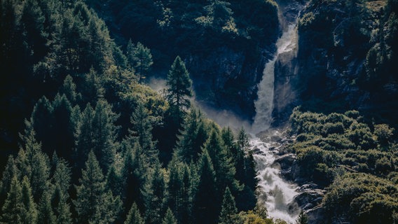 Ein tosender Floss mit Wasserfall zwischen Tannenwäldern in Osttirol, in Hohen Tauen © NDR Foto: Ilka Tempel