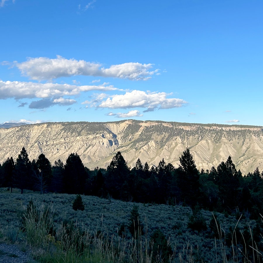 Natur in Montana: Berge, Wolken und viele Bäume © NDR Foto: Claudia Sarre