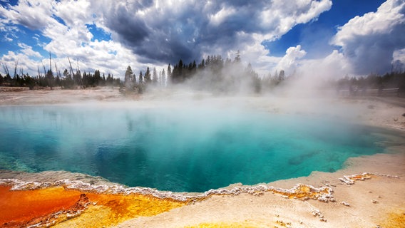 Ein Geysir mitten im Yellowstone Nationalpark in den USA © picture alliance / Zoonar Foto: Galyna Andrushko