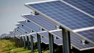 Solar-Panele einer Solar-Farm © picture alliance / empics Foto: Tim Ireland