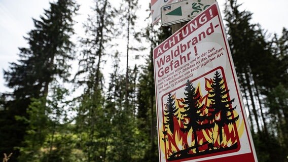 Ein Schild "Waldbrand-Gefahr!" der niedersächsischen Landesforsten steht an einem Waldweg im Harz. © Swen Pförtner/dpa 