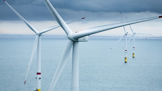 Windräder im Offshore-Windpark Borkum Riffgrund 2. © Vestas 
