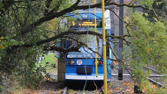In Rostock wurden Oberleitungen der Straßenbahn beschädigt © Stefan Tretropp Foto: Stefan Tretropp