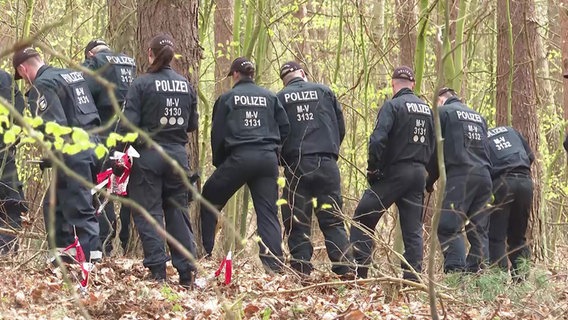 Polizisten durchkämmern einen Wald bei Werle auf der Suche nach einer Leiche. © Stefan Tretropp Foto: Stefan Tretropp