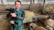 Jörg Pundt mit frischgeborenem Lamm - der Schafzüchter hält das Lamm in den Händen, er steht in Arbeitsklamotten auf einem Heuboden, auf dem weitere, ausgewachsene Schafe stehen. © NDR Foto: Silke Müller