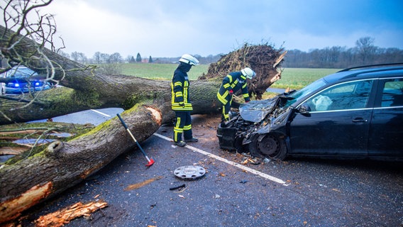 Feuerwehrleute sichern eine Unfallstelle auf der Bundestraße 208, nachdem ein PKW von einem durch den Sturm umstürzten Baum getroffen wurde. © dpa-Bildfunk Foto: Jens Büttner