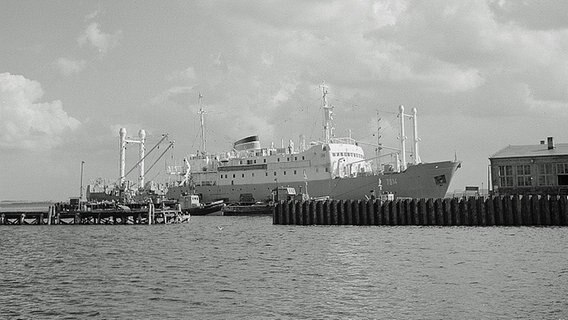 Fang- und Gefrierschiff "Tropik" im Hafen von Stralsund (Aufnahme von 1964 oder 1967) © http://creativecommons.org/licenses/by-sa/3.0/de/deed.en Foto: Richard Peter
