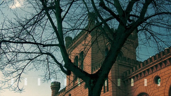 Das Innenministerium in Schwerin durch die Zweige eines Baumes gesehen. © NDR 