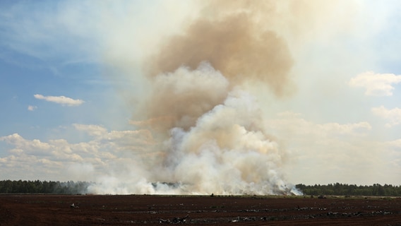 Ein Feuerwehrmann löscht von Rauchschwaden umgebene Glutnester eines Waldbrandes mit dem Wasserschlauch. © NDR Foto: Stefan Tretropp/NonStopNews Rostock