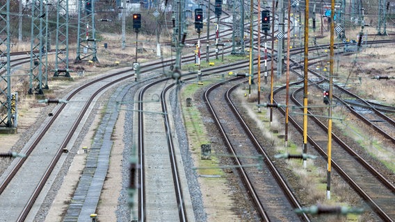 Die Gleise im Bahnhof von Neubrandenburg sind leer. © dpa-Bildfunk Foto: Jens Büttner
