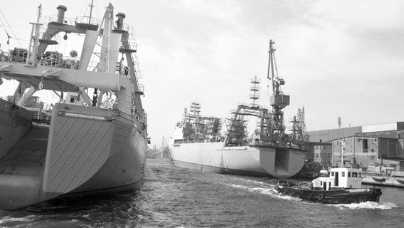 Von Schleppern wird ein für die Sowjetunion hergestellter Fabriktrawler vom Gelände der Volkswerft Stralsund gezogen (02.09.1991). Von Schleppern wird ein für die Sowjetunion hergestellter Fabriktrawler vom Gelände der Volkswerft Stralsund gezogen (02.09.1991). © picture alliance / ZB Foto: Jens Kalaene