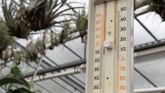 Göttingen: Ein Thermometer hängt im Sukkulentenhaus vom Alten Botanischen Garten der Georg-August-Universität. © picturealliance/dpa Foto: Swen Pförtner