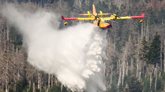 Ein italienisches Löschflugzeug bekämpft einen Waldbrand am Brocken. © picture alliance/dpa | Julian Stratenschulte Foto: Julian Stratenschulte